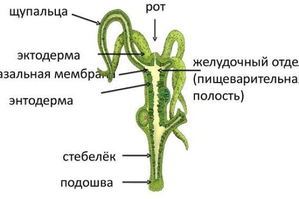 Solaris даркнет