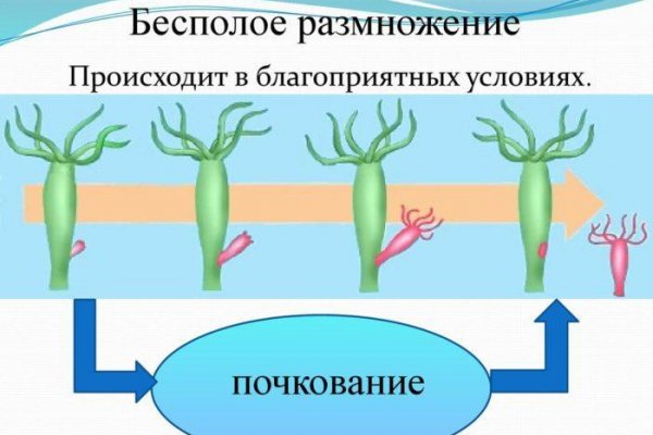 Кракен упал