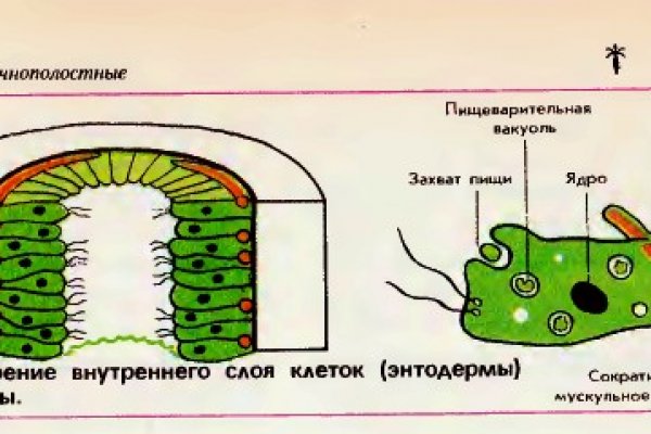Кракен маркет онион