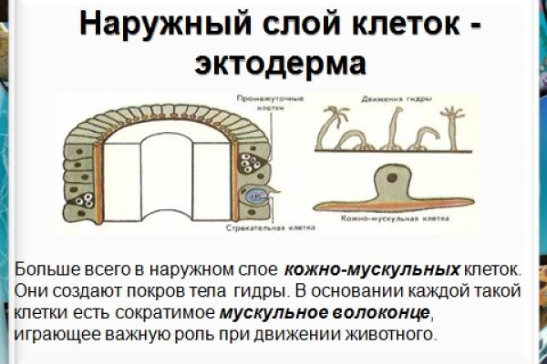 Кракен сайт зеркало рабочее на сегодня
